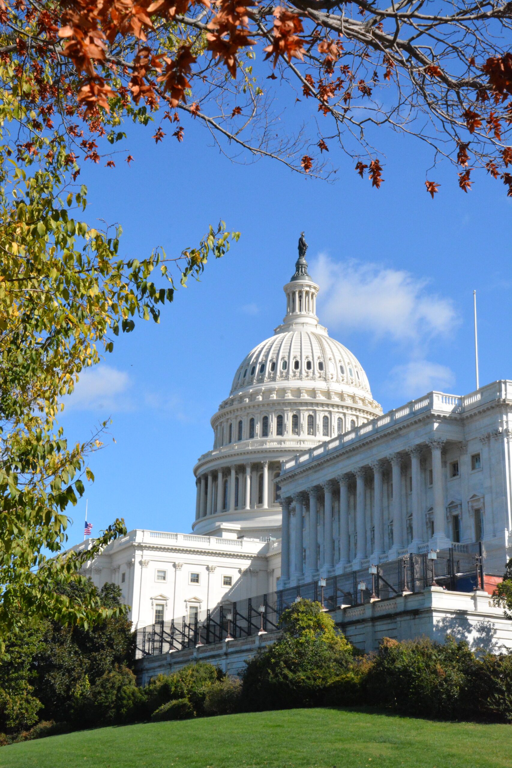 The BEST Things to Do in Washington DC: A Local's Travel Guide